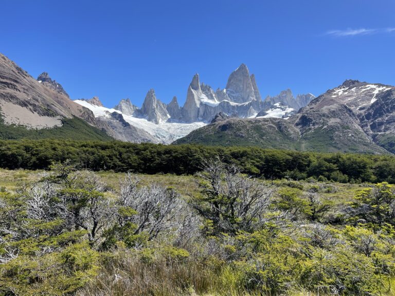 View of the Fitz Roy