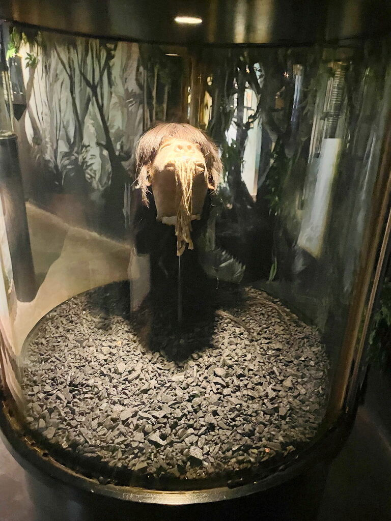 Shrunken Head at Pumapungo Museum