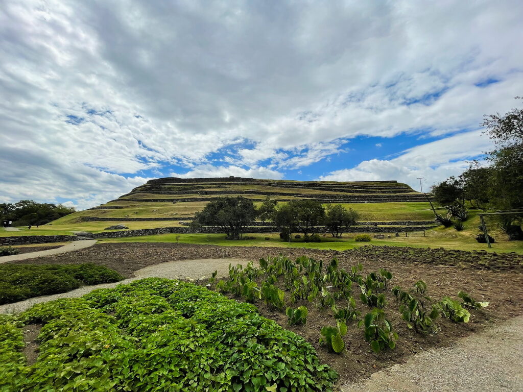 Pumapungo Terraced Hillside