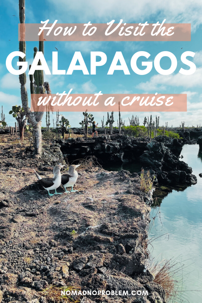 How to visit the Galapagos without a cruise