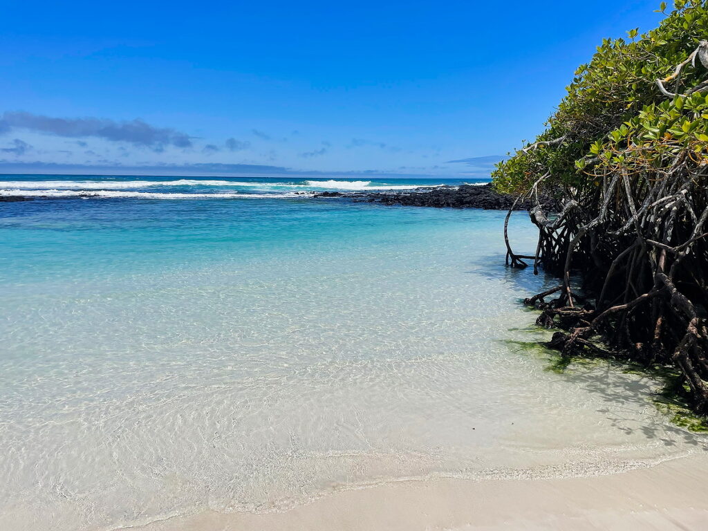 Tortuga Bay